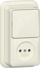 Gira Montage En Surface Prise Combinée À 2 Pôles Crème Blanc - 447610