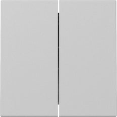 Gira Système 55 Interrupteur À Bascule Double Gris Mat - 3295015