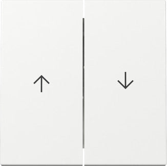 Gira Système 55 Interrupteur À Bascule Double Avec Symbole Flèche - 329403