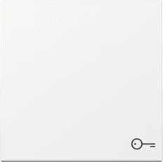 Gira Système 55 Symbole De Porte Interrupteur Basculant Blanc Pur - 328703 [2 Pièces]