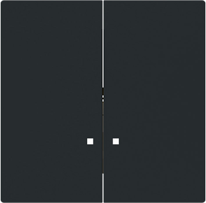 ABB Busch Hôtel DND Interrupteur Capot Noir Mat - 2CKA001751A3312