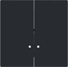ABB Busch Hôtel DND Interrupteur Capot Noir Mat - 2CKA001751A3312