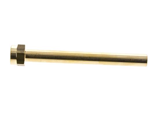 Tuyau en laiton à filetage femelle M16x1.5, longueur 150 mm