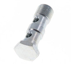 Boulon banjo en acier zingué à 2 voies avec filetage mâle G1/4'' L41.5mm [2 Pièces]