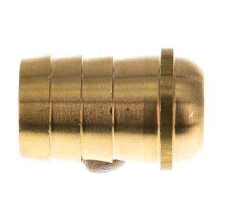 Embout de tuyau 19 mm (3/4'') en laiton sans écrou d'accouplement (G3/4'') 13.5mm [2 Pièces].