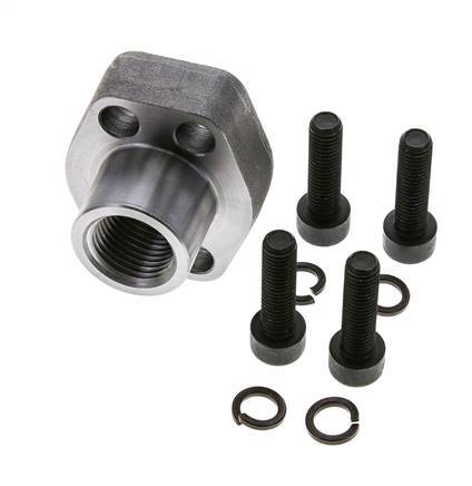 Bride SAE 1/2'' 3000 PSI en acier ordinaire avec filetage femelle G1/2'' ISO 6162-1