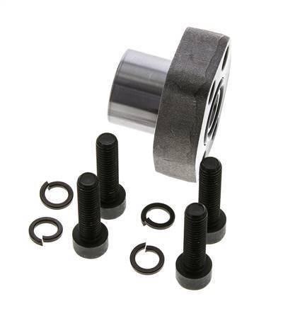 Bride SAE 1/2'' 3000 PSI en acier ordinaire avec filetage femelle G1/2'' ISO 6162-1