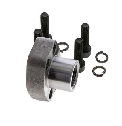 Bride SAE 1/2'' 3000 PSI en acier ordinaire avec filetage femelle G1/2'' ISO 6162-1