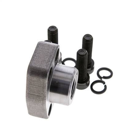 Bride SAE 3/4'' 3000 PSI en acier ordinaire avec filetage femelle G1/2'' ISO 6162-1