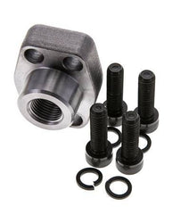 Bride SAE 3/4'' 3000 PSI en acier ordinaire avec filetage femelle G1/2'' ISO 6162-1