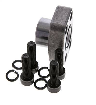 Bride SAE 3/4'' 3000 PSI en acier ordinaire avec filetage femelle G1/2'' ISO 6162-1