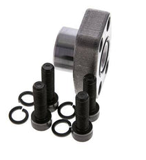 Bride SAE 3/4'' 3000 PSI en acier ordinaire avec filetage femelle G1/2'' ISO 6162-1