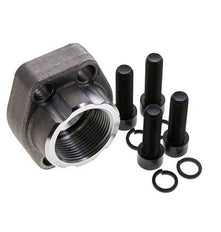 Bride SAE 1-1/4'' 3000 PSI en acier ordinaire avec filetage femelle G1-1/4'' ISO 6162-1