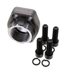 Bride SAE 1-1/4'' 3000 PSI en acier ordinaire avec filetage femelle G1-1/4'' ISO 6162-1