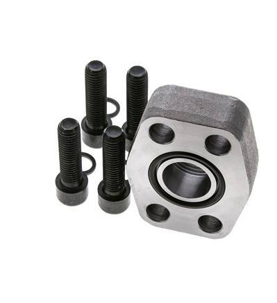 Bride SAE 1'' 6000 PSI en acier ordinaire avec filetage femelle G1'' ISO 6162-2