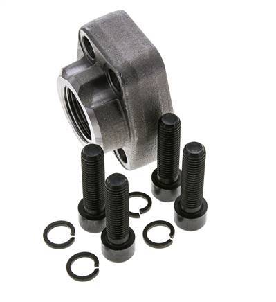 Bride SAE 1'' 6000 PSI en acier ordinaire avec filetage femelle G1'' ISO 6162-2