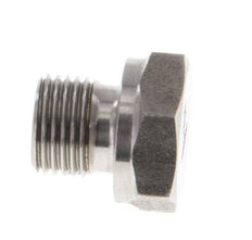 Plug G1/8'' Stainless steel with External Hex 60° cone 575bar (8078.75psi) Hydraulic