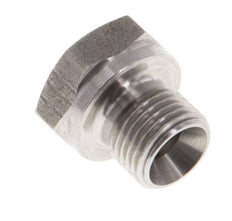 Bouchon G1/8'' en acier inoxydable avec cône externe hexagonal de 60° 575bar (8078.75psi) Hydraulique