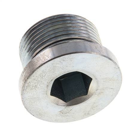 Bouchon M26 X 1.5 Acier NBR avec hexagone interne 400bar (5620.0psi)