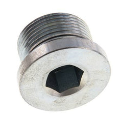 Bouchon M26 X 1.5 Acier NBR avec hexagone interne 400bar (5620.0psi)
