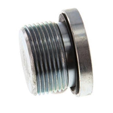 Bouchon M26 X 1.5 Acier NBR avec hexagone interne 400bar (5620.0psi)