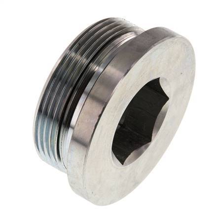 Bouchon M48 X 2 Acier NBR avec hexagone interne 250bar (3512.5psi)