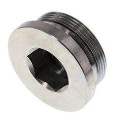 Bouchon M48 X 2 Acier NBR avec hexagone interne 250bar (3512.5psi)