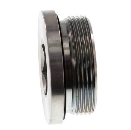 Bouchon M48 X 2 Acier NBR avec hexagone interne 250bar (3512.5psi)