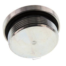 Bouchon M48 X 2 Acier NBR avec hexagone interne 250bar (3512.5psi)