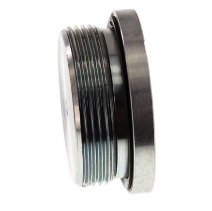 Bouchon M48 X 2 Acier NBR avec hexagone interne 250bar (3512.5psi)