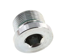 Bouchon M24 X 1.5 Acier FKM avec hexagone interne 400bar (5620.0psi)