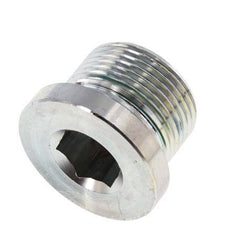 Bouchon M24 X 1.5 Acier FKM avec hexagone interne 400bar (5620.0psi)