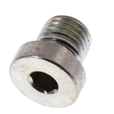 Plug M12 X 1.5 Steel NBR with Internal Hex 400bar (5620.0psi) [2 Pieces]