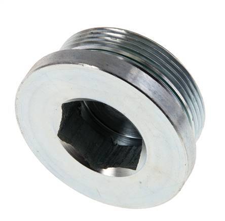 Bouchon M48 X 2 Acier FKM avec hexagone interne 250bar (3512.5psi)