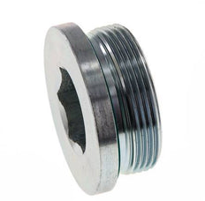 Bouchon M48 X 2 Acier FKM avec hexagone interne 250bar (3512.5psi)