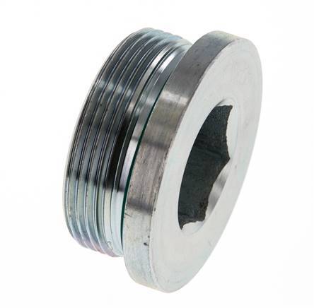 Bouchon M48 X 2 Acier FKM avec hexagone interne 250bar (3512.5psi)