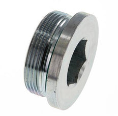 Bouchon M48 X 2 Acier FKM avec hexagone interne 250bar (3512.5psi)