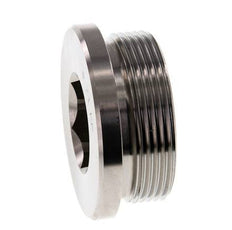 Plug M48 X 2 Stainless steel FKM with Internal Hex 250bar (3512.5psi)