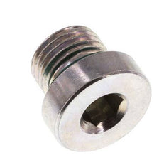 Plug M10 X 1 Steel FKM with Internal Hex 400bar (5620.0psi) [2 Pieces]