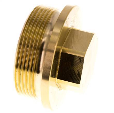 Bouchon G2'' en laiton avec collier et hexagone externe 16bar (224.8psi)