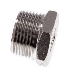 Plug R1'' Stainless steel with External Hex 16bar (224.8psi)
