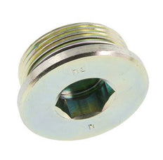 Plug UN 1-5/8''-12 Steel NBR with Internal Hex 250bar (3512.5psi)