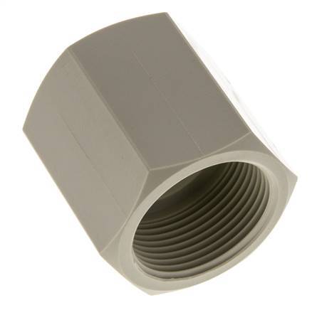 Douille G1 1/4'' femelle Polypropylène (pp) 10bar (140.5psi) FDA 50mm Hex
