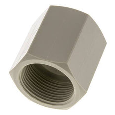 Douille G1 1/4'' femelle Polypropylène (pp) 10bar (140.5psi) FDA 50mm Hex