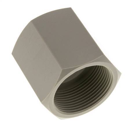 Douille G1 1/2'' femelle Polypropylène (pp) 10bar (140.5psi) FDA 55mm Hex