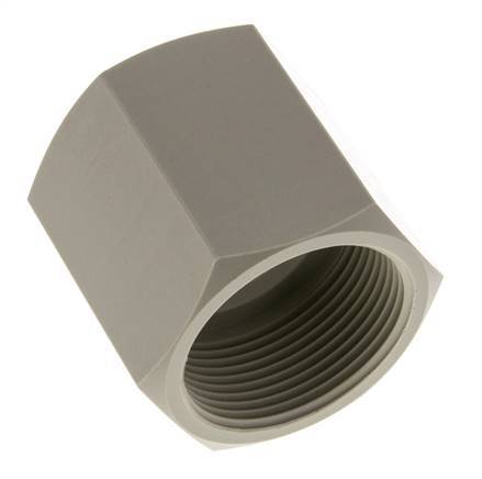 Douille G1 1/2'' femelle Polypropylène (pp) 10bar (140.5psi) FDA 55mm Hex