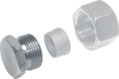 6L Zinc plated Steel Closing Plug for Tubes 315 Bar DIN 2353 [2 Pieces]