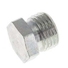 10L Zinc plated Steel Closing Plug for Tubes 315 Bar DIN 2353 [2 Pieces]