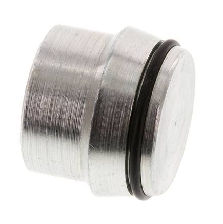Bouchon de fermeture en acier zingué 28L pour raccords à bague coupante 160 Bar DIN 2353 [2 Pièces].
