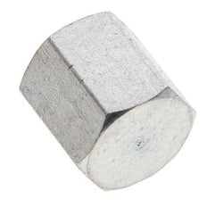 Bouchon de fermeture en acier zingué 1/8'' NPT avec barre hexagonale extérieure 345 [2 pièces].